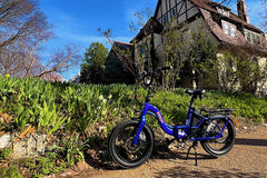 Young Electric E-Urban 500W Lightweight Folding eBike | 20'' All-terrain Fat Tire With 480Wh LG Battery | Internal Gear Hub