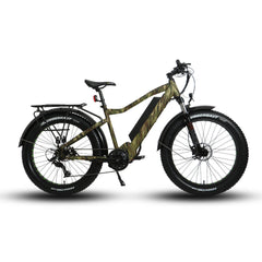 EUNORAU FAT-HD 1000W 48V Fat Tire Mountain Electric Bike