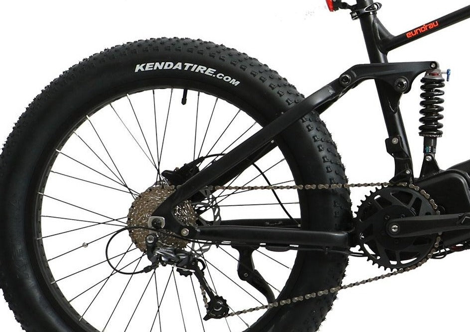 Eunorau Fat HS 48V 1000W Dual Battery Design All Terrain Full Suspension Fat Tire Electric Mountain Bike