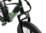 Eunorau Fat HS 48V 1000W Dual Battery Design All Terrain Full Suspension Fat Tire Electric Mountain Bike