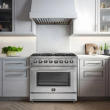 FORNO Appliance Package - 36" Dual Fuel Range, Dishwasher, 36" Refrigerator, FBDL-004-02CAUS