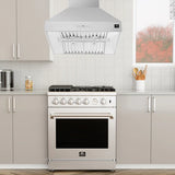 FORNO Orvieto 30" 600 CFM Wall Mount Range Hood in Stainless Steel, FRHWM5094-30