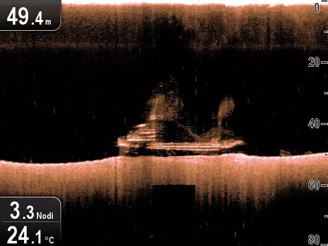 Raymarine CP100 Sonar Module
