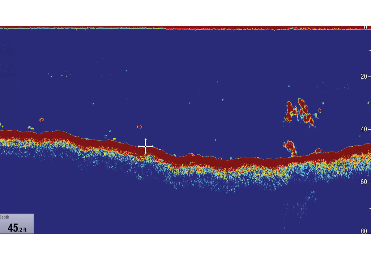 Raymarine CP370 Digital Sonar Module for offshore and coastal fishing