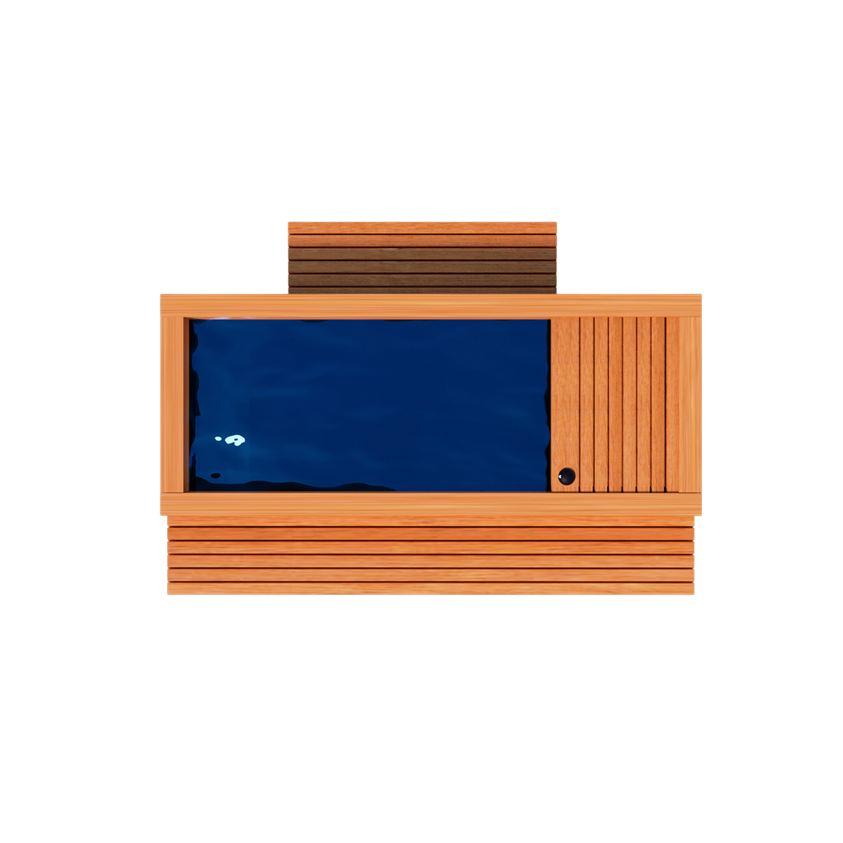 Medical Frozen 2 Cold Plunge