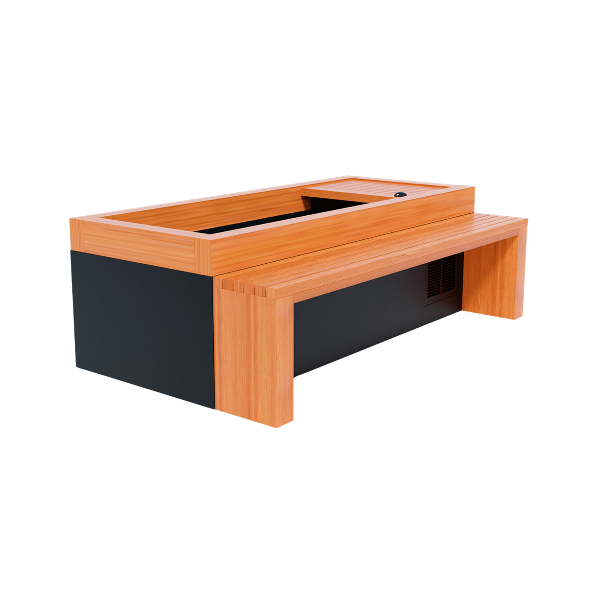 Medical Frozen 2 Cold Plunge