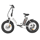Aostirmotor 500W Low Step Fat Tire G20