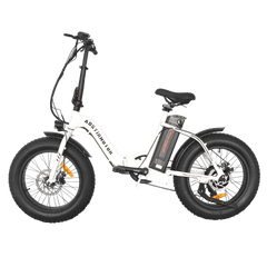 Aostirmotor 500W Low Step Fat Tire G20