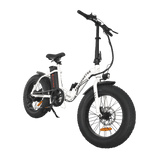 Aostirmotor 500W Low Step Fat Tire G20