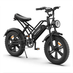 Happyrun Electric Bike Fat Tire Cargo City E-bike G50