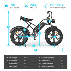 Happyrun Electric Bike Fat Tire Cargo City E-bike G50