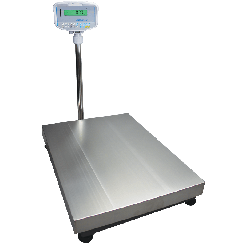 Adam Equipment GFK 330a Floor Checkweighing Scale - 330 x 0.02 lb