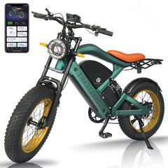 Smartravel Raptor ST202 |Long-Distance Specialists-Electric Commuter Bike