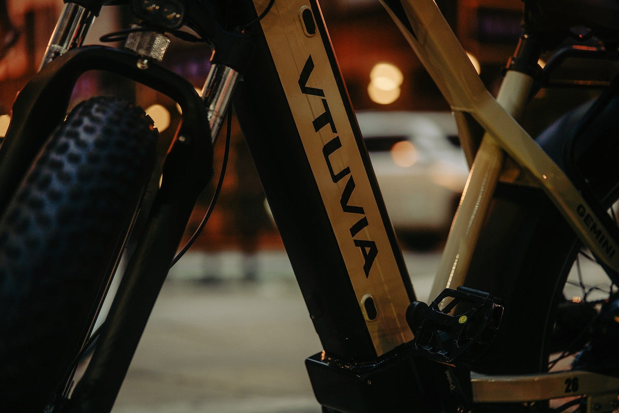Vtuvia Gemini Electric Bike