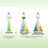 Hooga Migraine Relief Green Light Bulb