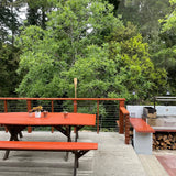 Tagwood BBQ Santa Maria Argentine Wood Fire & Charcoal Gaucho Grill Built in | BBQ05SS--