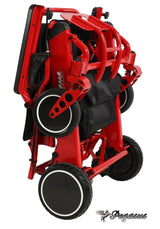 Pegasus Carbon Fiber Wheelchair