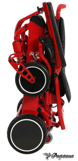 Pegasus Carbon Fiber Wheelchair