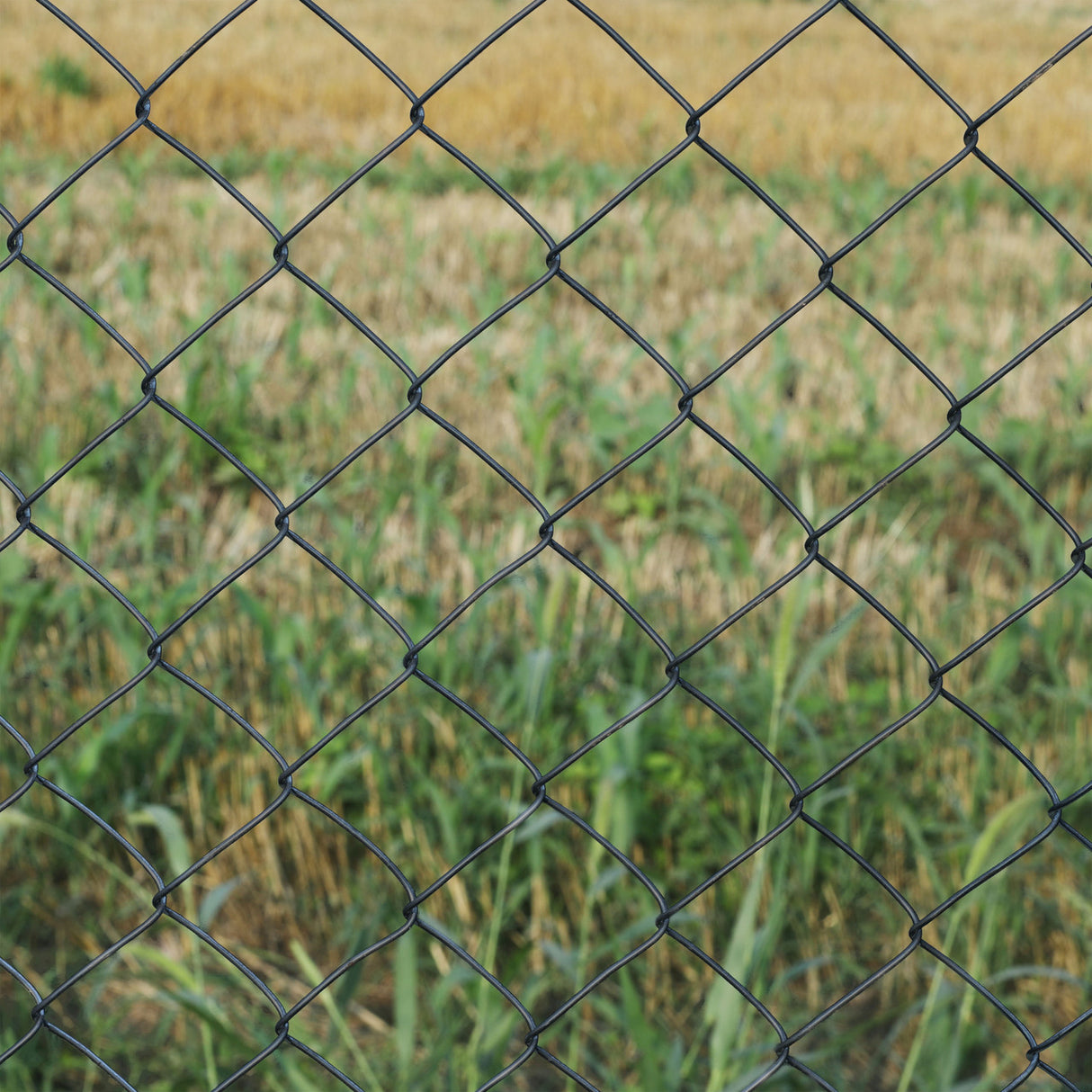 Aleko Galvanized Steel Chain Link Fence – Complete Kit – 5x50 ft. – 9.5 AW Gauge - Black