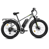 Mukkpet Suburban 750W Fat Tire Electric Bike