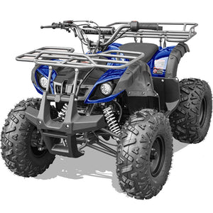 Gas ATVs
