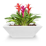 The Outdoor Plus Maya Concrete Planter Bowl