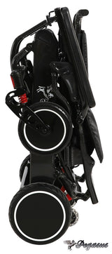 Pegasus Carbon Fiber Wheelchair