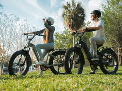 Velowave Ranger Step-Thru 2.0 Electric Bike