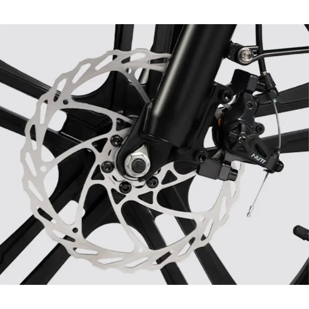 Rattan LF-750 Pro Step-Thru Fat Tire