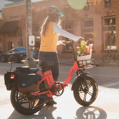 Rattan LF-750 Pro Step-Thru Fat Tire, 750W 48V, Folding Electric Bike