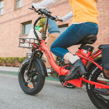 Rattan LF-750 Pro Step-Thru Fat Tire