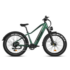 Rattan Pathfinder 750W 48V Mountain Electric Bike