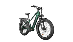 Rattan Pathfinder 750W 48V Mountain Electric Bike