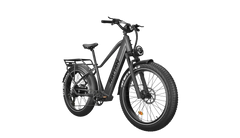 Rattan Pathfinder 750W 48V Mountain Electric Bike
