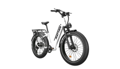 Rattan Pathfinder ST 750W 48V Mountain Electric Bike
