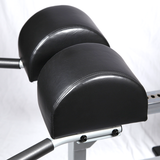 Body Solid Pro Club Line Glute Ham Machine