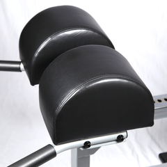 Body Solid Pro Club Line Glute Ham Machine