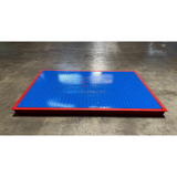 Prime Scales 60" x 48" ( 5' x 4' )  Selleton Floor Scale with Pit Frame, for above & in-ground use.