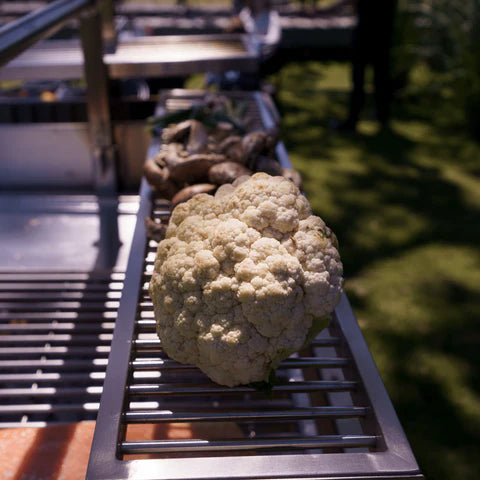 Tagwood BBQ Warming Rack | BBQ52SS--