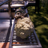 Tagwood BBQ Warming Rack | BBQ52SS--