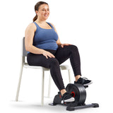 Sunny Health & Fitness Smart Low-profile Magnetic Mini Exercise Bike