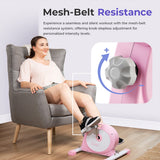 Sunny Health & Fitness Smart Mini Exercise Bike