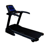 Body Solid T25 Folding Treadmill