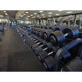 TROY PFD-R Pro-Style Black Dumbbell Straight Handle & Rubber Endcaps