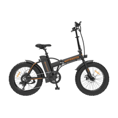 Aostirmotor A20 Folding Fat Tire 500W 36V Electric Bike