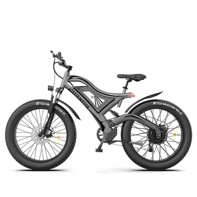 Aostirmotor S18 All Terrain 750W 48V Full Suspension Mountain Electric Bike