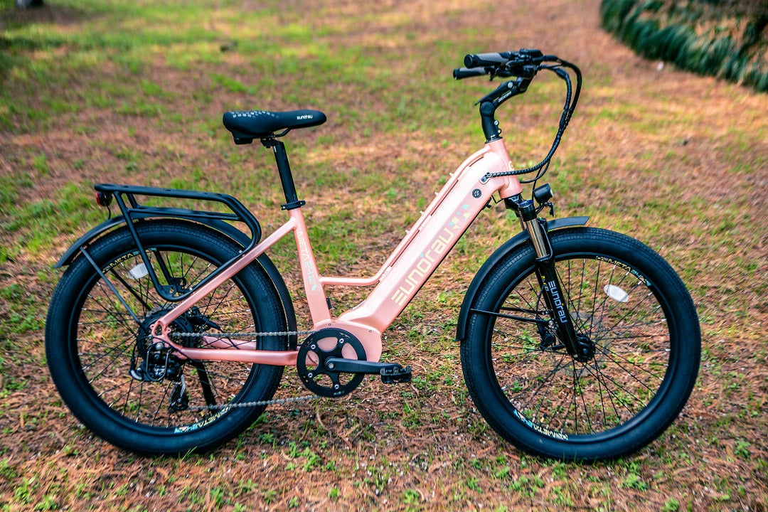 Eunorau META 2024 E-Bike