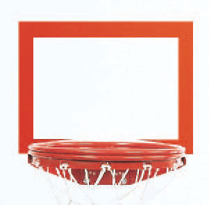 Bison Inc. Orange Replacement Backboard Shooter’s Square