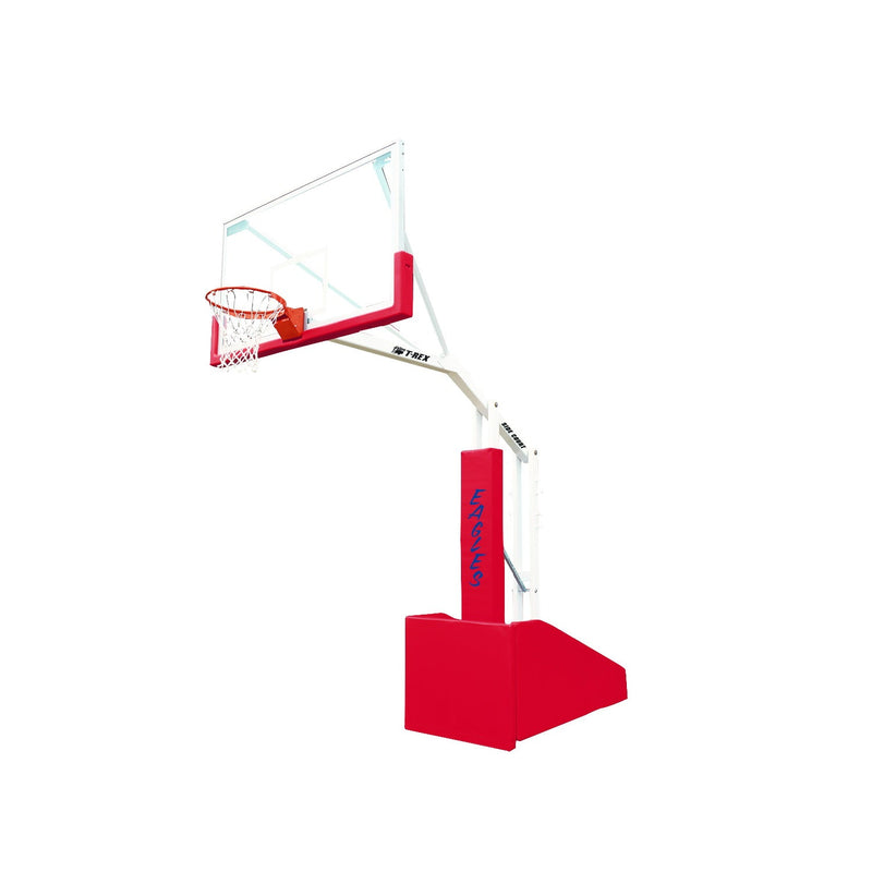 Bison Inc. T-REX® Side Court Portable Basketball System