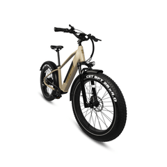 Bandit Forerunner High-Step Electric Bike